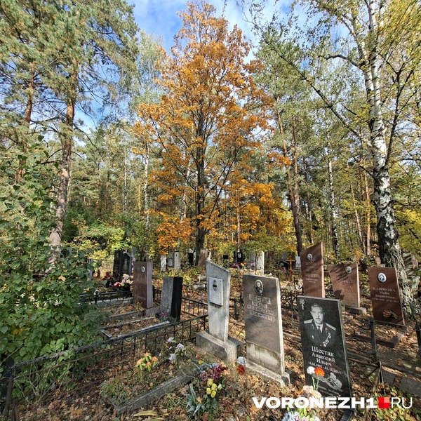 Источник: Алёна Воропаева / Voronezh1.ru