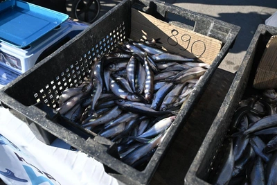 Цены на корюшку в 2026 году останутся высокими