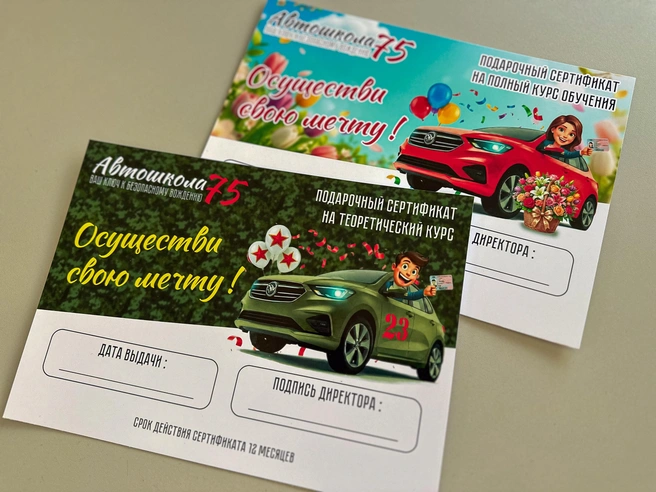 Источник: Ксения Зимина