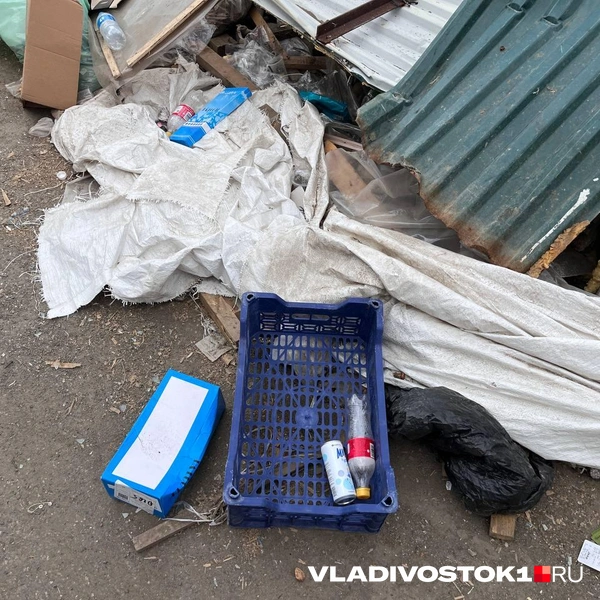 Источник: Максим Протасов / VLADIVOSTOK1.RU