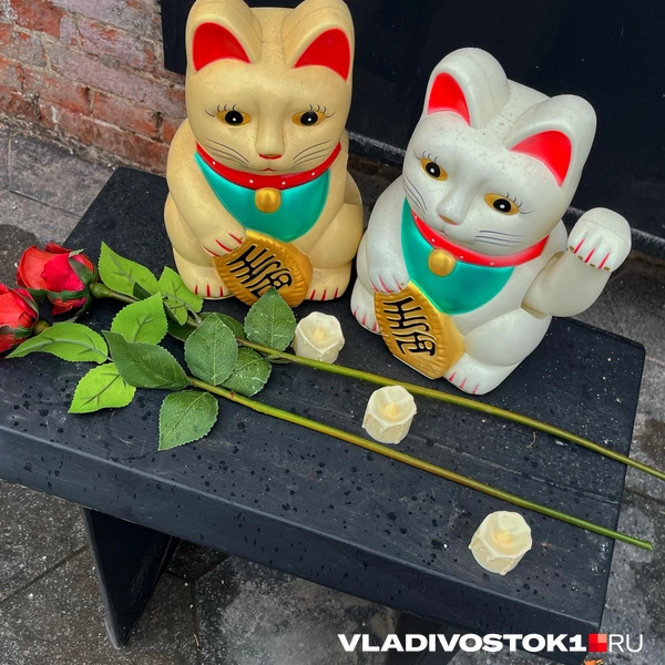 Источник: Елена Буйвол / VLADIVOSTOK1.RU