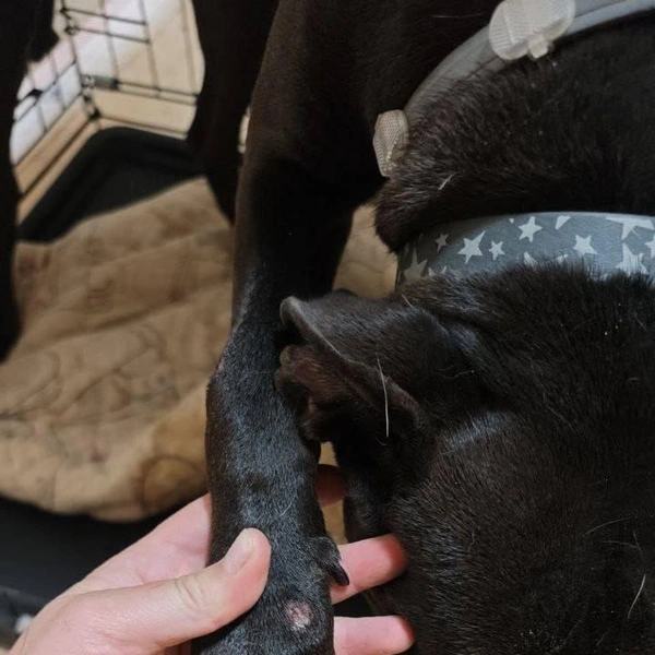 Источник: MONA / Telegram