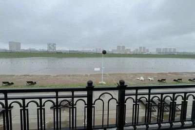 Пляж Пограничный в Благовещенске закрыт для купания