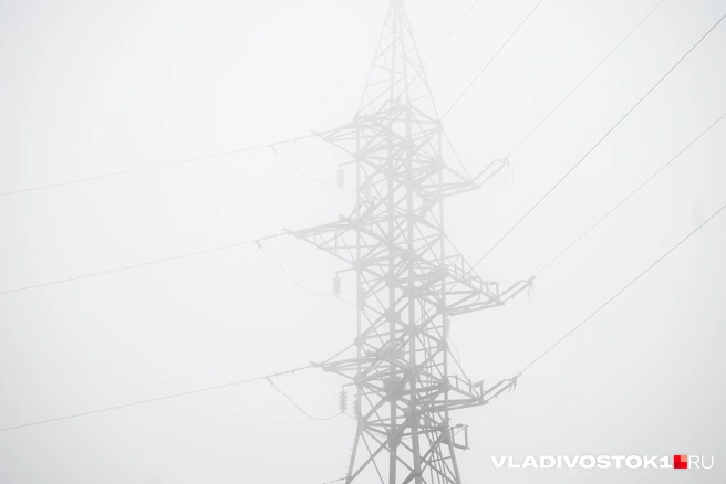Источник: Елена Буйвол / VLADIVOSTOK1.RU
