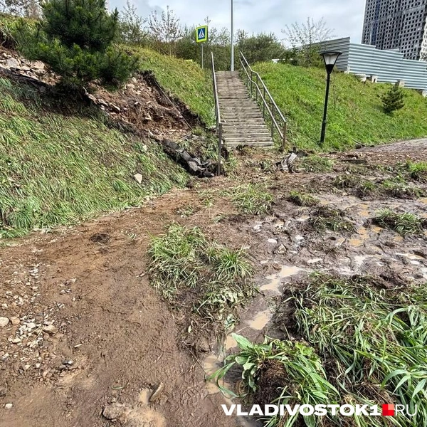 Источник: Елена Буйвол / VLADIVOSTOK1.RU