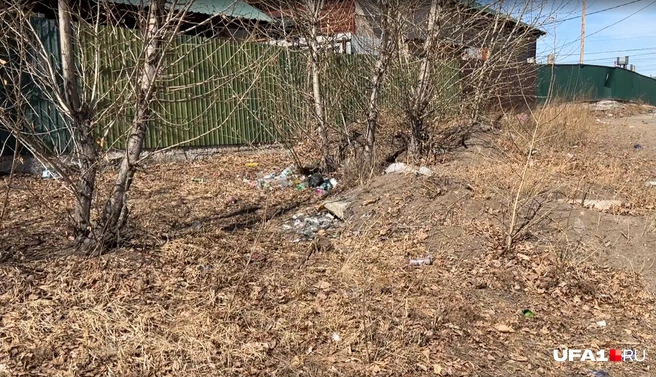 Мусор на озере Кенон в черте города | Источник: Андрей Бирюков / UFA1.RU