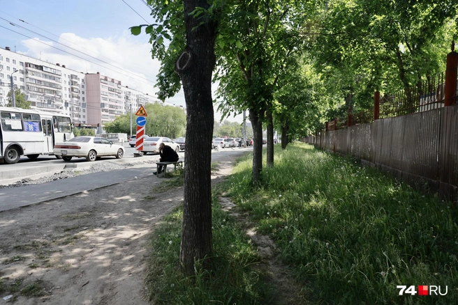 Пешеходам сделают дорожку вдоль дороги, велосипедистам&nbsp;— по газону за деревьями | Источник: Наталья Лапцевич