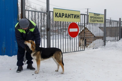 Башкирия объяснила ситуацию с вакциной от бешенства