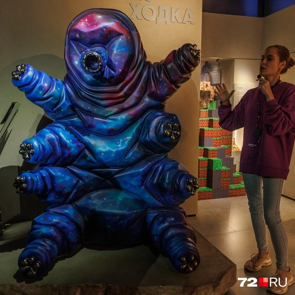 Угадаете, что за создание? | Источник: Ирина Шарова / 72.RU