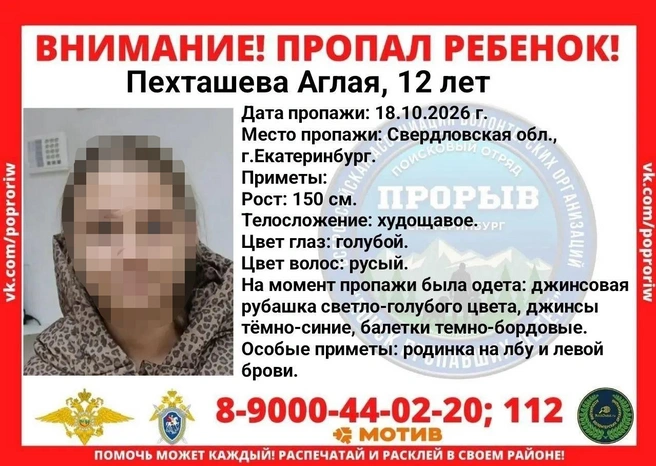 Аглая пропала 18 октября | Источник: поисковой отряд «Прорыв»