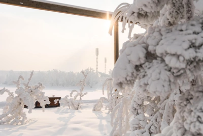 Meteorologists warn of abnormal frosts in Ryazan region