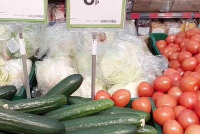 Фермер шокирован ценами на огурцы в Волгограде и Минске