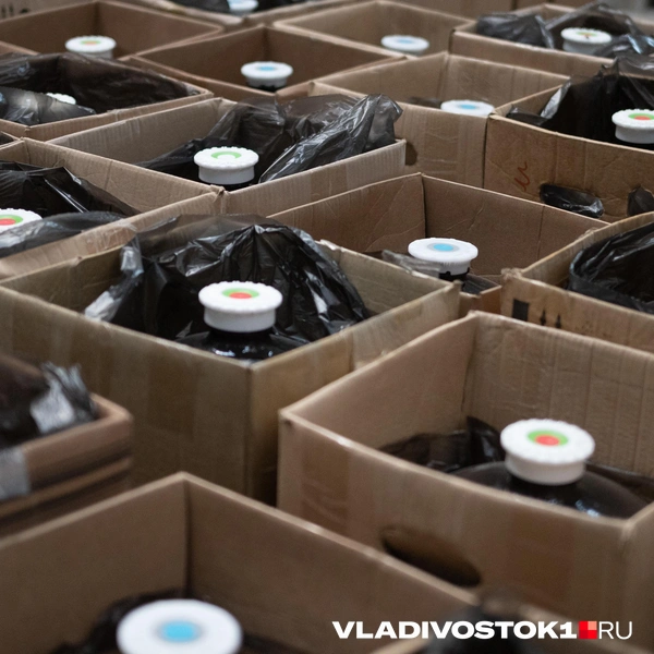 Источник: Елена Буйвол / VLADIVOSTOK1.RU