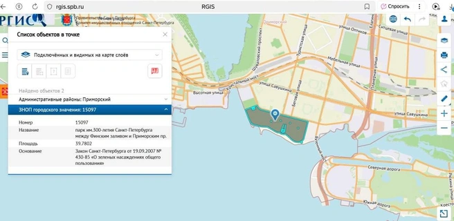 Источник: скриншот / РГИС