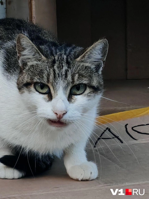 «Проблемы?» | Источник: читатели V1.RU