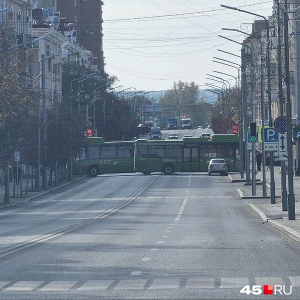 Источник: Дарья Никитченко / 45.RU