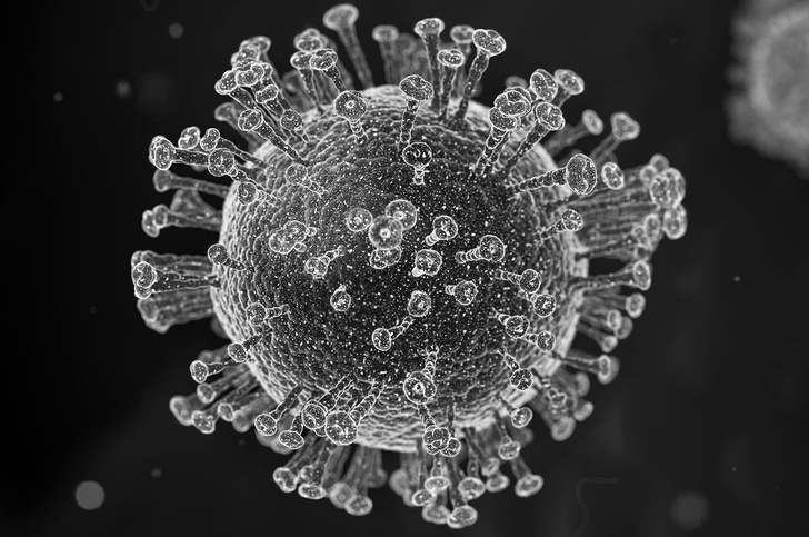 Специалисты по статистике объяснили, почему данные о смертях от коронавируса занижены
