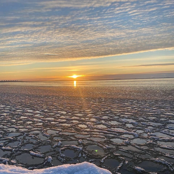 Источник: читатель «Фонтанки» Надежда