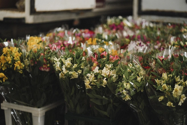 Китаец Чжао Чжунцян развивает цветочный бизнес в КНР | Источник: Дарья Паращенко / 93.RU