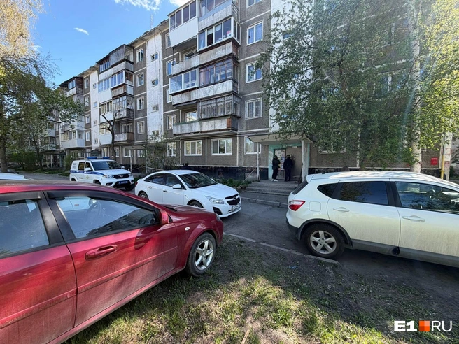 Муляж сделал подросток | Источник: читатель E1.RU