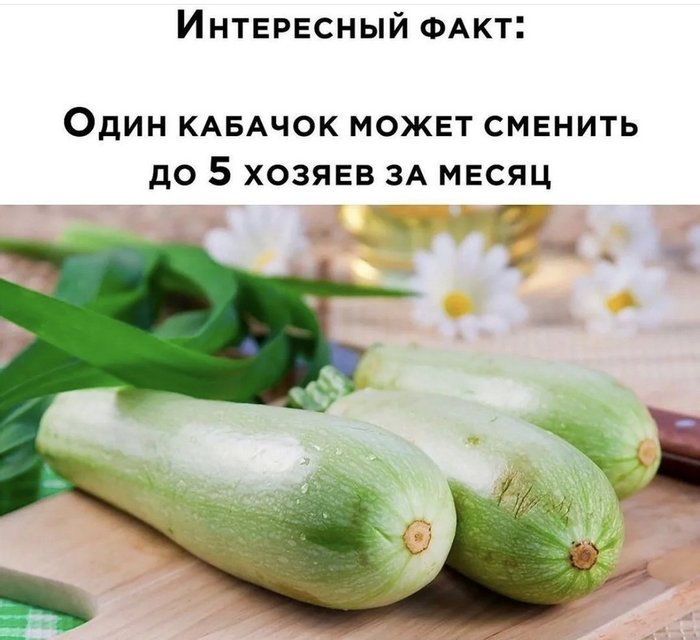 Забавненько :-) Забавненько :-)