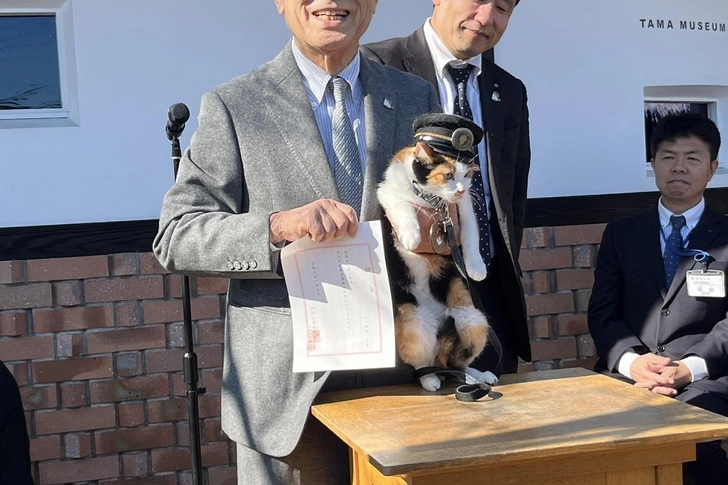 Ёнтама вступила в должность: в Японии выбрали новую кошку-смотрительницу вокзала | Источник: Wakayama Electric Railway