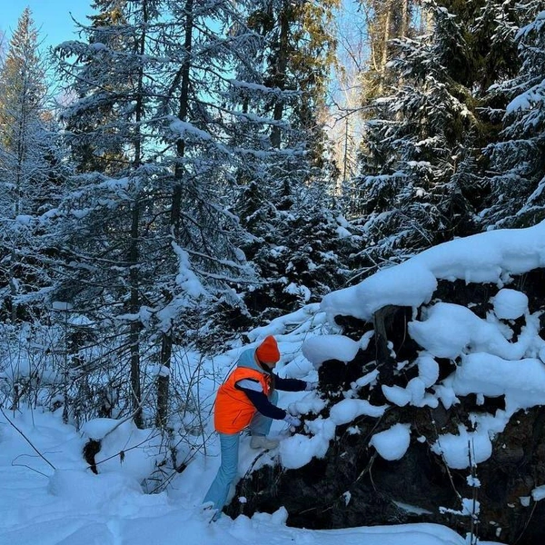 Источник: Поисковый отряд «ЛизаАлерт» Республики Карелия