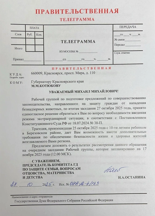Обращение составила рабочая группа, которая готовит предложения для защиты граждан от нападения безнадзорных животных | Источник: Нина Останина / vk.com