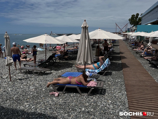 С самолета — сразу на пляж | Источник: Анна Грицевич / SOCHI1.RU