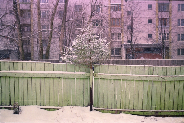 Леонид Тишков. «Farewell to the Christmas Tree. Прощание с новогодней елкой». 2000 | Источник: пресс-служба музея