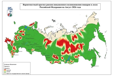 Рязанская область: риск лесных пожаров в августе