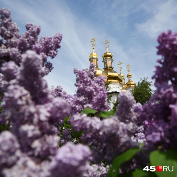 Источник: Надежда Тихомирова / 45.RU