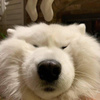 userpic__ekivek1