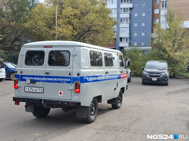 Проверку организовали по факту возможного нарушения правил безопасности при ведении строительных или иных работ | Источник: Татьяна Зарва / NGS24.RU