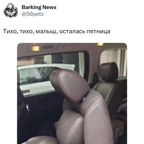 Источник: X (Twitter)