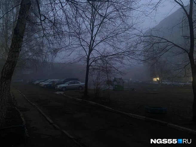Туманная погода держится второй день подряд | Источник: Читатель NGS55.RU