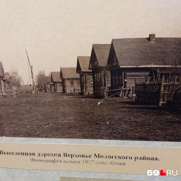 Источник: Вероника Свизева / 59.RU