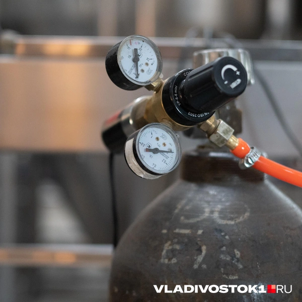 Источник: Елена Буйвол / VLADIVOSTOK1.RU