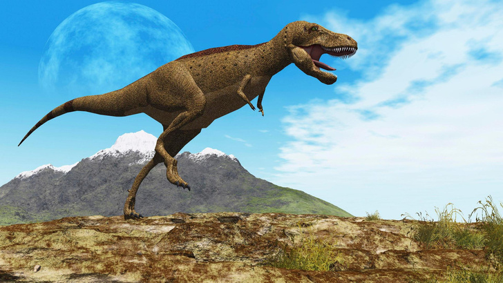 Родня с Ларамидии: найден ближайший родственник тираннозавра рекса