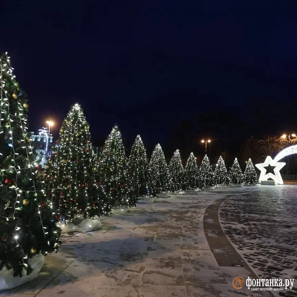 Источник: Сергей Михайличенко / FONTANKA.RU