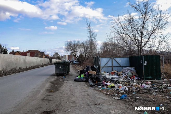В начале поселка расположена свалка, вокруг которой разбросан мусор | Источник: Евгений Софийчук / NGS55.RU