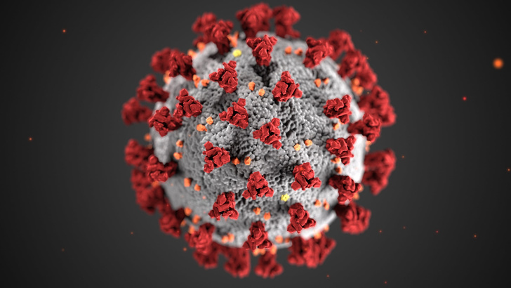 В ЮАР обнаружили новую мутацию коронавируса, ей не страшны вакцины