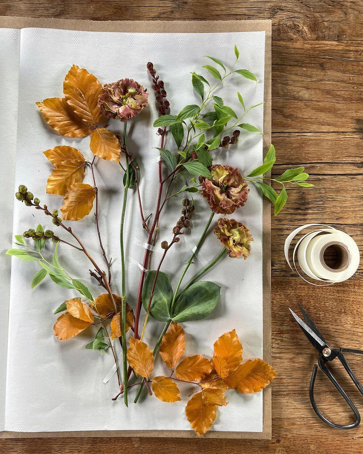 Как правильно засушить цветы для гербария и декора: советы флористов