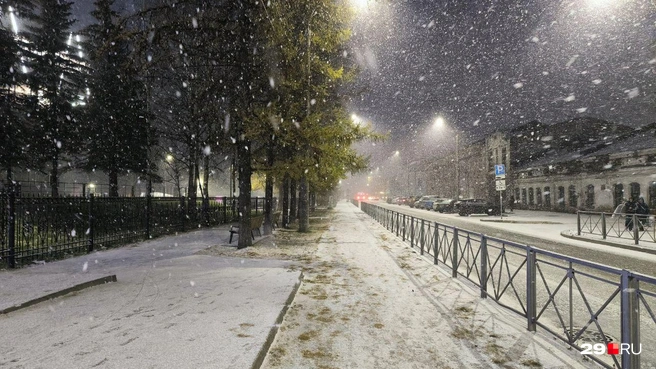 Источник: Юрий Скородумов / 29.RU