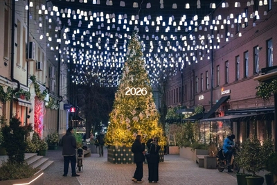 Елка в золотисто-розовых тонах победила в фотоконкурсе