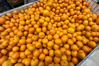 Мандарины во Владивостоке: цены декабря 2025