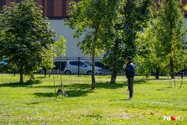 В Бутусовском парке нередко собираются собачники | Источник: Кирилл Поверинов / 76.RU