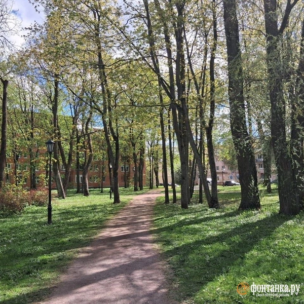 Сквер рядом с домом, квартиру в котором продала Габриэла Комлева | Источник: Анна Мотовилова / FONTANKA.RU