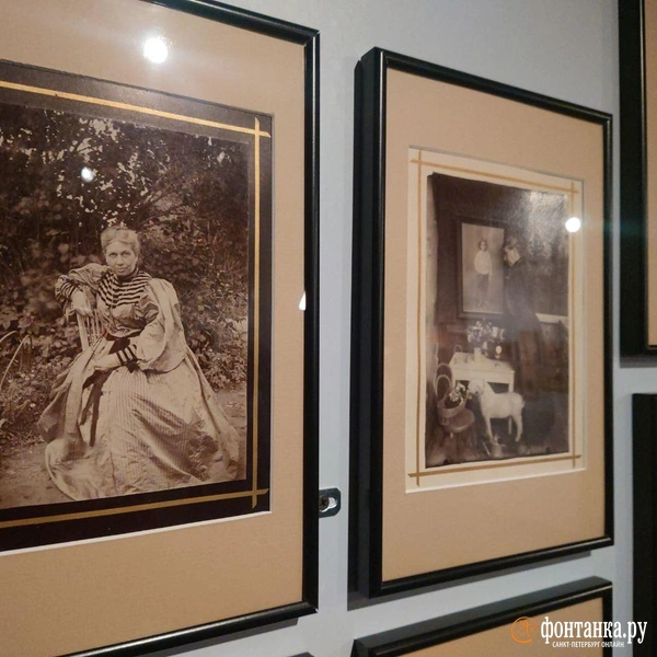 Источник: Анастасия Семенович / FONTANKA.RU