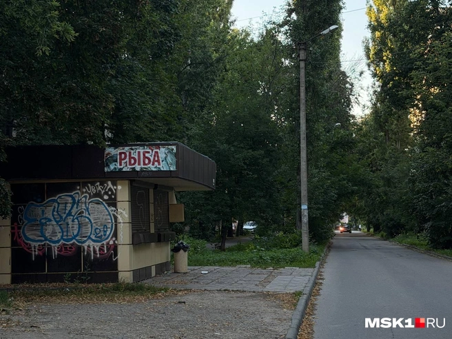 Липецк встречает трещинами на асфальте и заросшей тротуарной плиткой | Источник: Вера Борисова / MSK1.RU